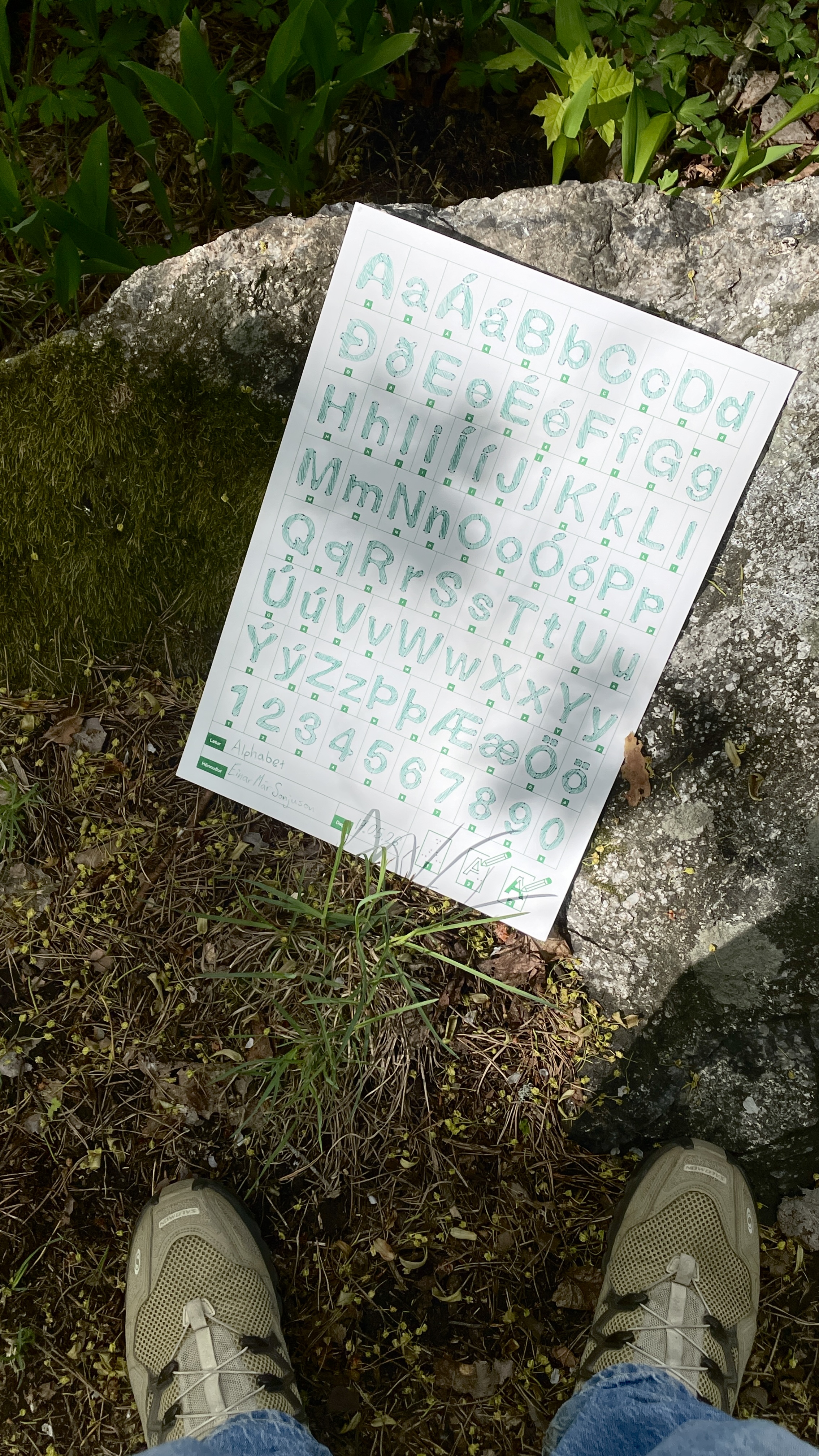 Image 6