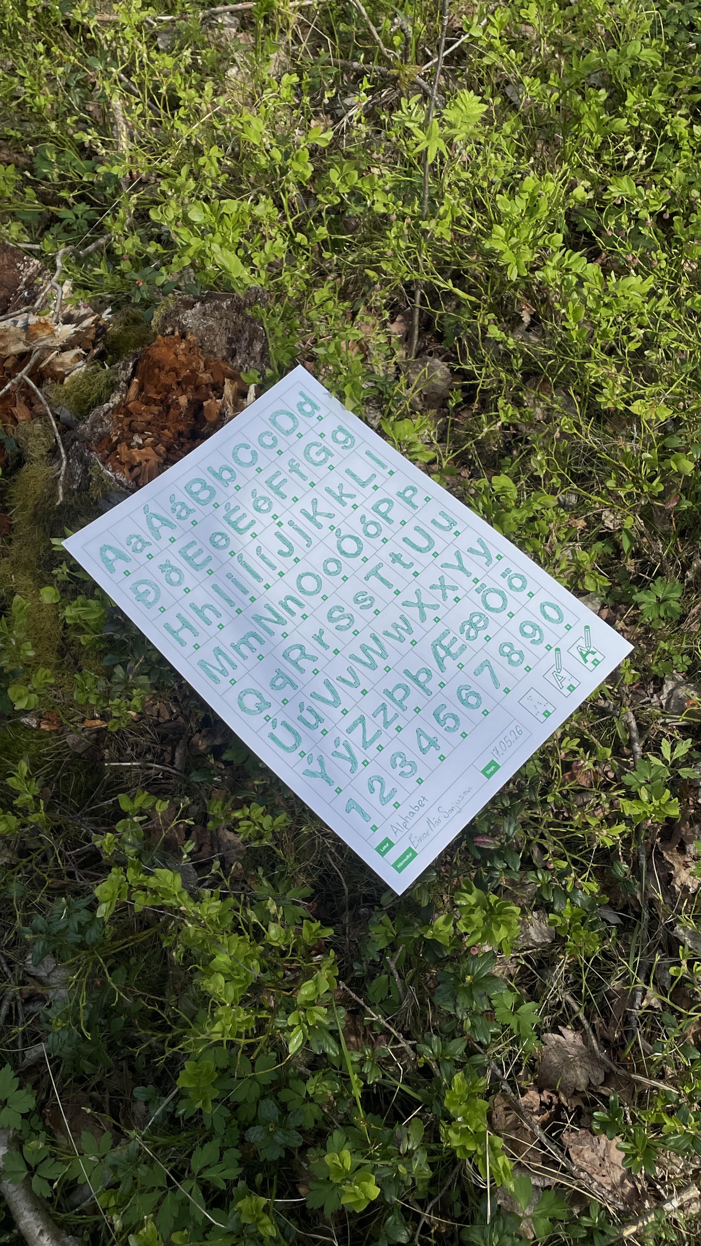 Image 8
