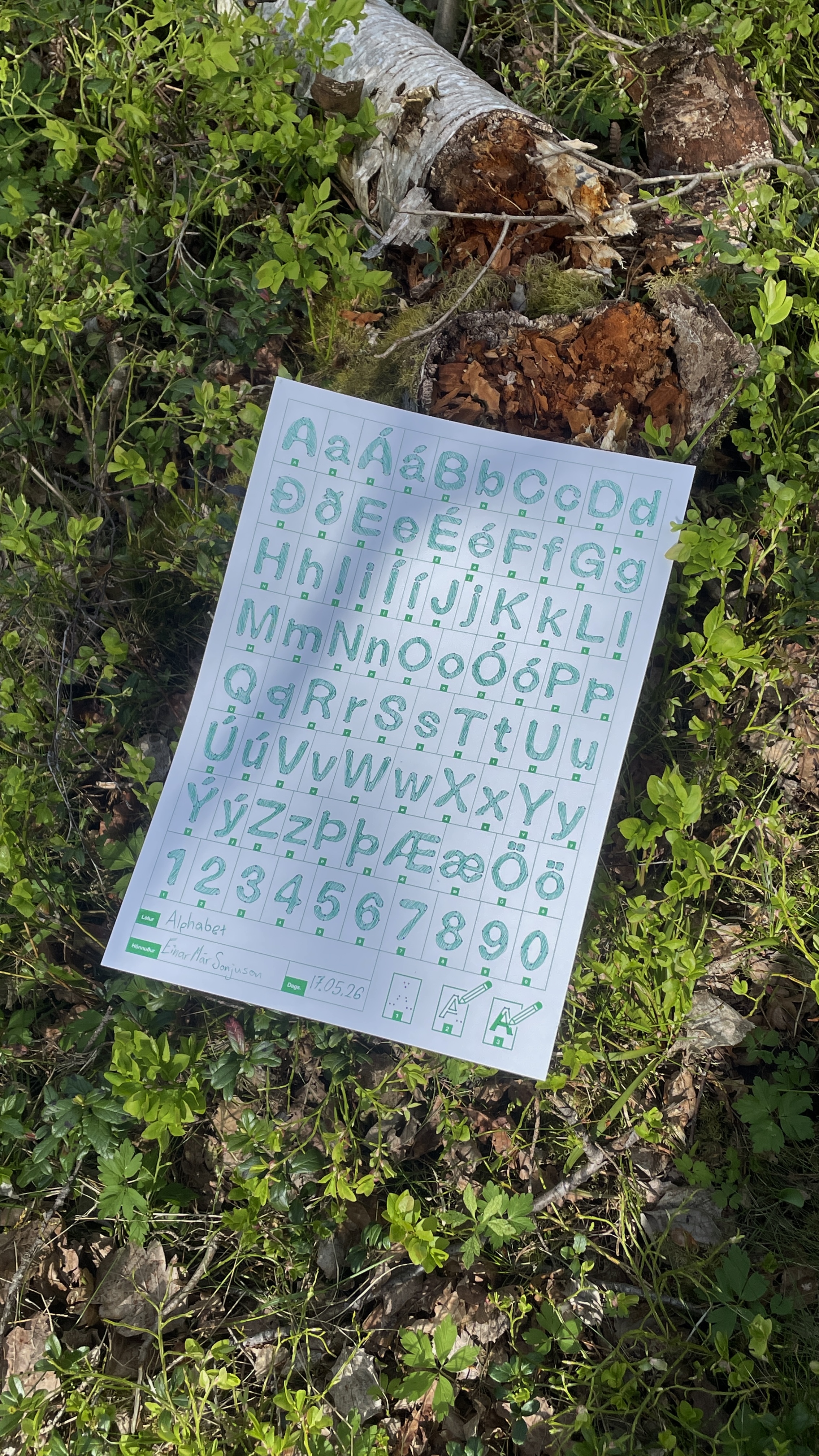Image 10