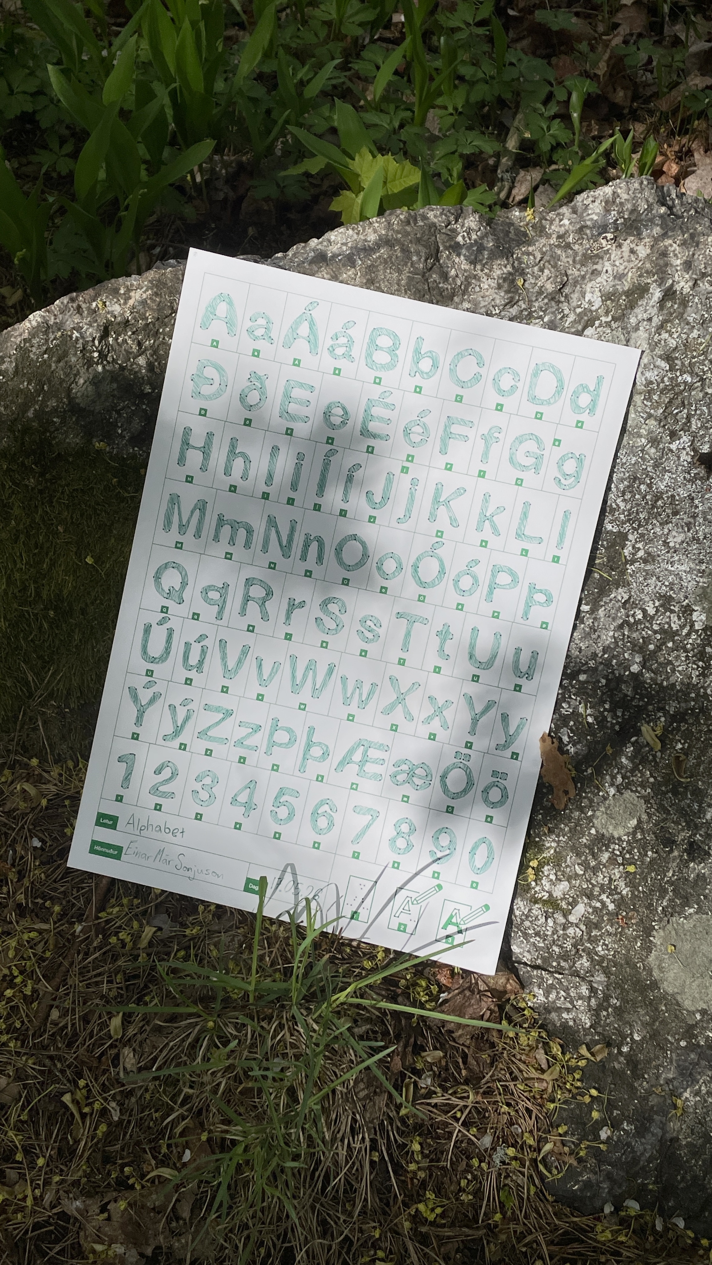 Image 9